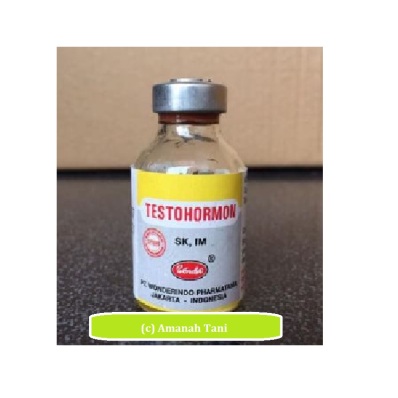 testohormon
